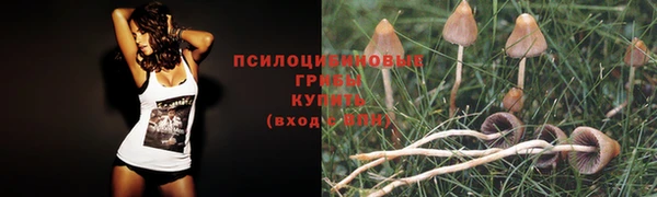 дживик Богданович