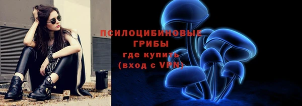 мдпв Богородск
