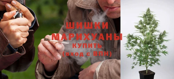 мдпв Богородск