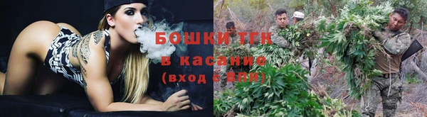 дживик Богданович