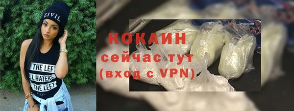 мдпв Богородск