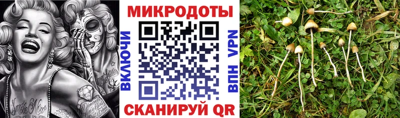Псилоцибиновые грибы MAGIC MUSHROOMS  Городище 